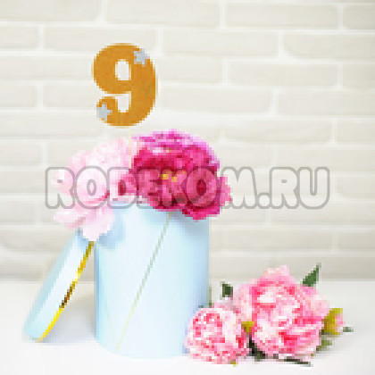 Топпер-цифра "9" золото (1502908)